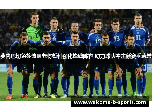 费内巴切免签波黑老将哲科强化锋线阵容 助力球队冲击新赛季荣誉